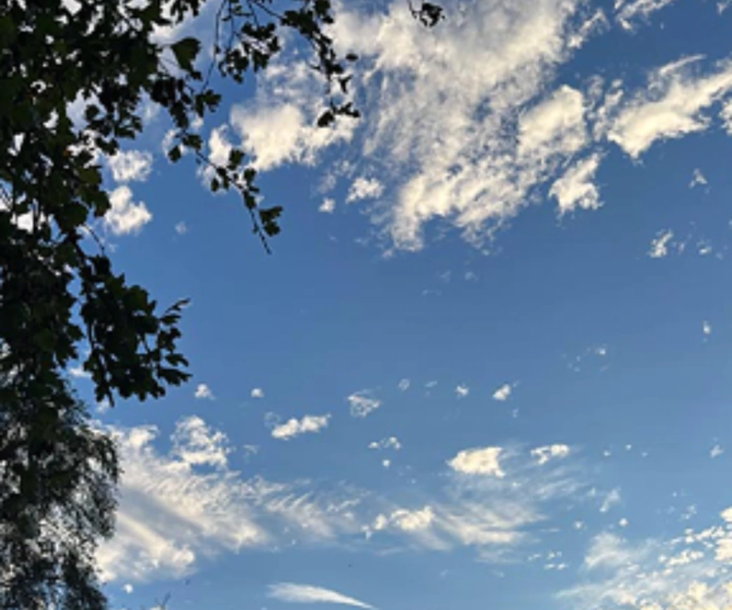 Interviews with Nature Cure Practitioners - Nature Cure Scotland