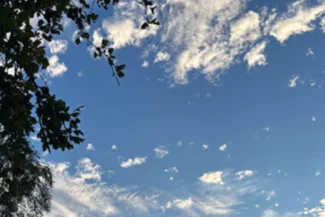 Interviews with Nature Cure Practitioners - Nature Cure Scotland