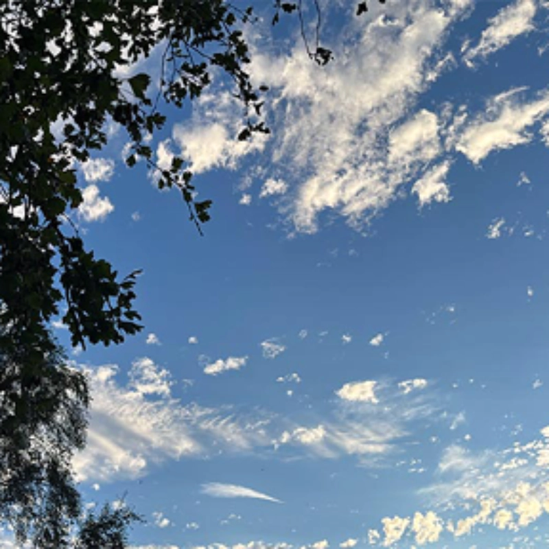 Interviews with Nature Cure Practitioners - Nature Cure Scotland