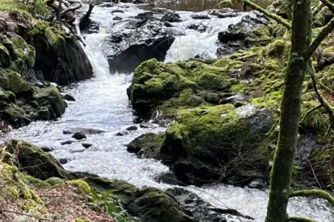 COLD WATER SWIMMING - Nature Cure Scotland