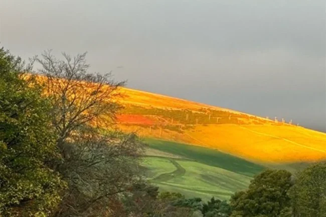 Nature Cure way of life - nature Cure Scotland