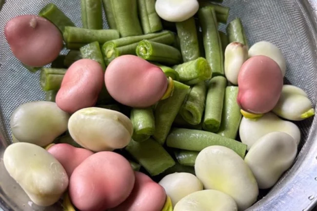 Organic food production - Nature Cure Scotland