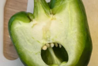 Singing vegetables - Nature Cure Scotland