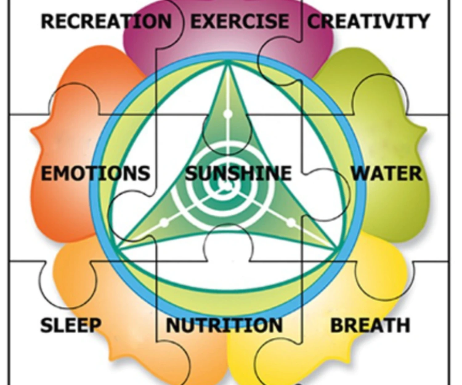 The Nature Cure Jigsaw - Nature Cure Scotland