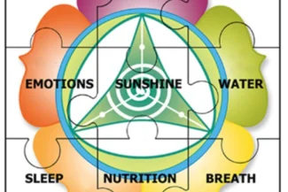 The Nature Cure Jigsaw - Nature Cure Scotland