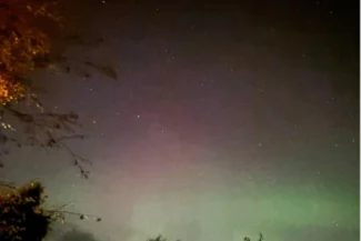 aurora - Nature Cure Scotland