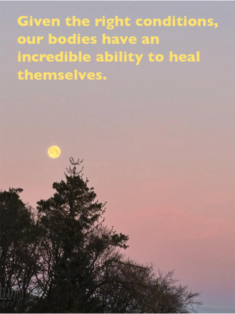 Given the right conditions, our bodies can heal themselves - Nature Cure Scotland