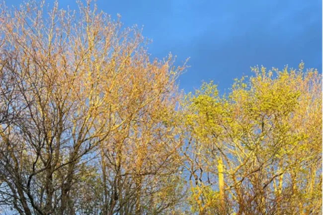 Nature Cure Scotland - Perthshire