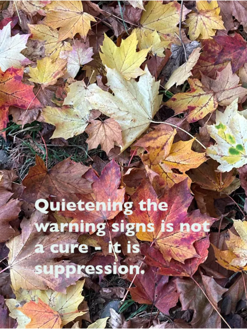Quieting the warning sign is not a cure - it is suppression - Nature Cure Scotland